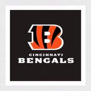Cincinnati Bengals Training Camp