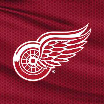 NHL Stanley Cup Finals: Detroit Red Wings vs. TBD – Home Game 2 (Date: TBD – If Necessary)