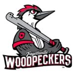 Fredericksburg Nationals vs. Fayetteville Woodpeckers