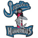 St. Lucie Mets vs. Jupiter Hammerheads