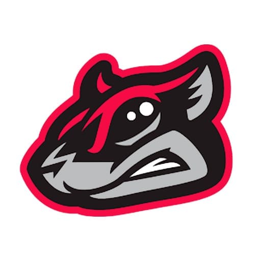 Richmond Flying Squirrels Tickets Playoffs 2024/2025